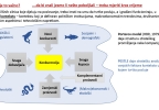 matica_48_WGI_world_governance_indicators_02