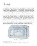 Katalog-Proslava-tisucgodisnjice-zadnja-verzija-mg_Page_07