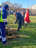 zm_sadnja_lipa_30_12_2025_04