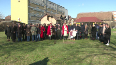 zm_sadnja_lipa_30_12_2025_05