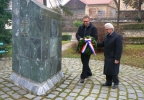 zsva_sijelo_szhr_2016_02